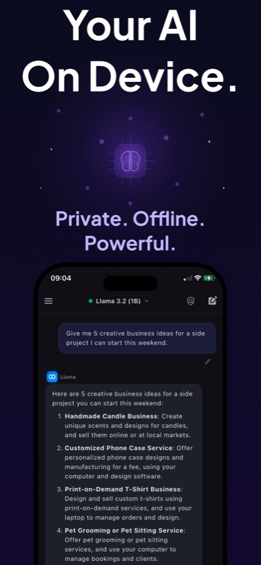 Local AI Chat conversation running on device.